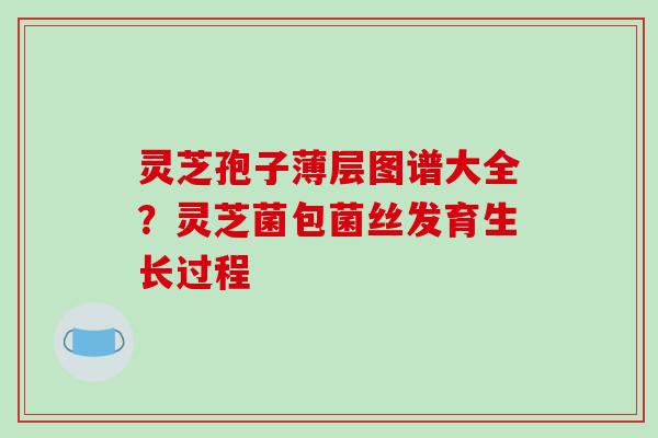 灵芝孢子薄层图谱大全?灵芝菌包菌丝发育生长过程 灵芝孢子薄层图谱大全?灵芝菌包菌丝发育生长过程