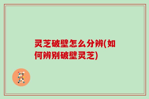 灵芝破壁怎么分辨(如何辨别破壁灵芝)
