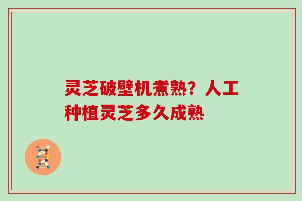 灵芝破壁机煮熟?人工种植灵芝多久成熟 灵芝破壁机煮熟?人工种植灵芝多久成熟