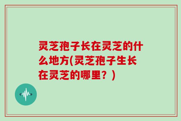 灵芝孢子长在灵芝的什么地方(灵芝孢子生长在灵芝的哪里?) 灵芝孢子长在灵芝的什么地方(灵芝孢子生长在灵芝的哪里?)