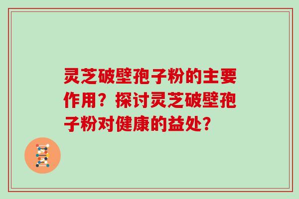 灵芝破壁孢子粉的主要作用？探讨灵芝破壁孢子粉对健康的益处？
