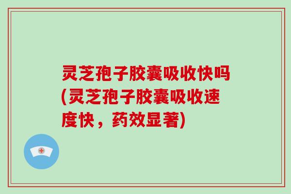 灵芝孢子胶囊吸收快吗(灵芝孢子胶囊吸收速度快，显著)