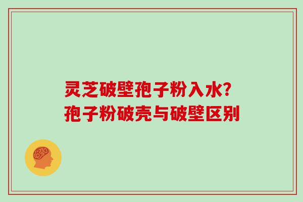 灵芝破壁孢子粉入水？孢子粉破壳与破壁区别