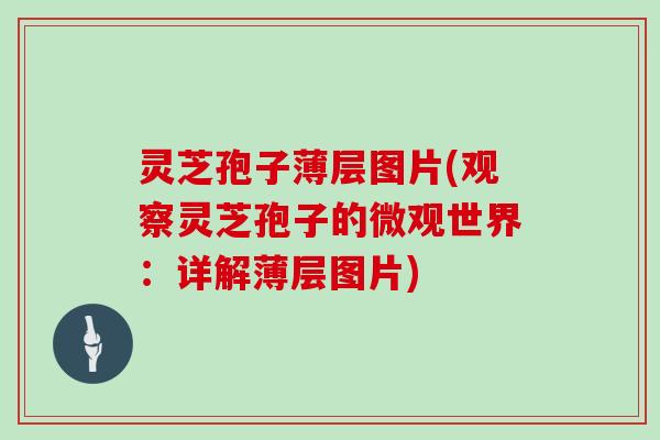 灵芝孢子薄层图片(观察灵芝孢子的微观世界:详解薄层图片) 灵芝孢子薄层图片(观察灵芝孢子的微观世界:详解薄层图片)