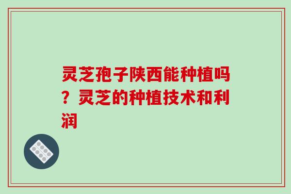 灵芝孢子陕西能种植吗?灵芝的种植技术和利润 灵芝孢子陕西能种植吗?灵芝的种植技术和利润