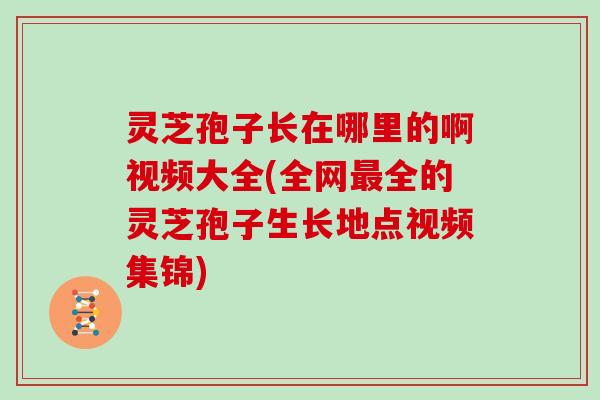灵芝孢子长在哪里的啊视频大全(全网全的灵芝孢子生长地点视频集锦) 灵芝孢子长在哪里的啊视频大全(全网全的灵芝孢子生长地点视频集锦)