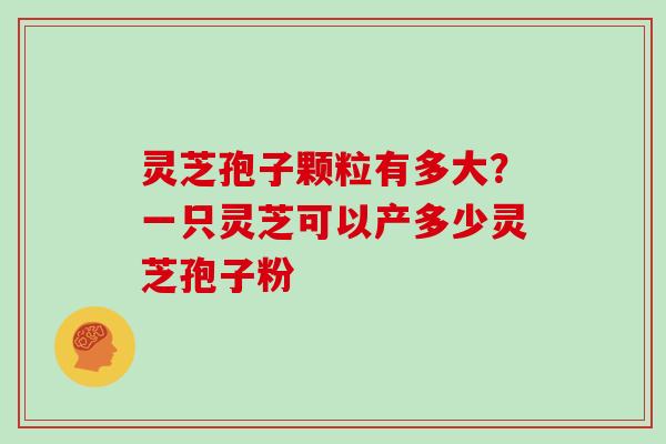 灵芝孢子颗粒有多大？一只灵芝可以产多少灵芝孢子粉