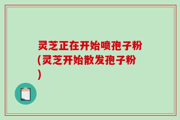 灵芝正在开始喷孢子粉(灵芝开始散发孢子粉) 灵芝正在开始喷孢子粉(灵芝开始散发孢子粉)