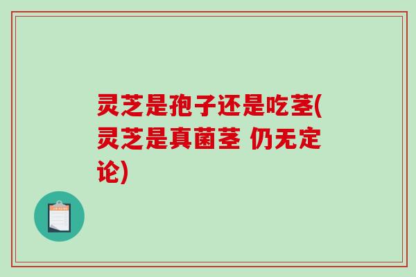 灵芝是孢子还是吃茎(灵芝是真菌茎 仍无定论) 灵芝是孢子还是吃茎(灵芝是真菌茎 仍无定论)