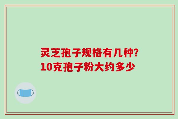灵芝孢子规格有几种？10克孢子粉大约多少