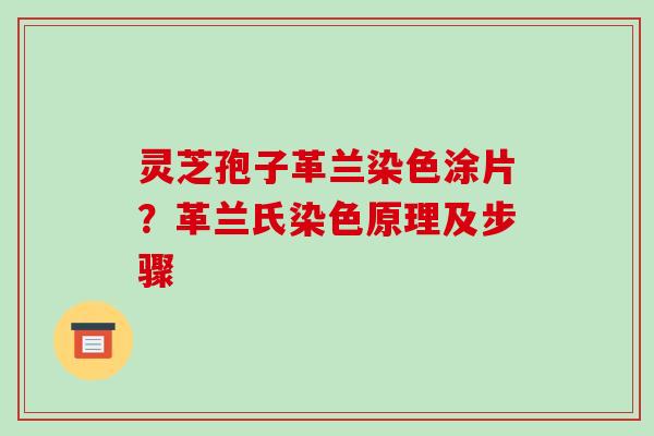 灵芝孢子革兰染色涂片？革兰氏染色原理及步骤