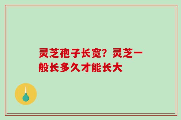 灵芝孢子长宽？灵芝一般长多久才能长大