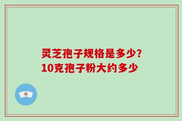 灵芝孢子规格是多少？10克孢子粉大约多少