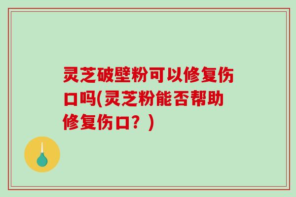 灵芝破壁粉可以修复伤口吗(灵芝粉能否帮助修复伤口？)