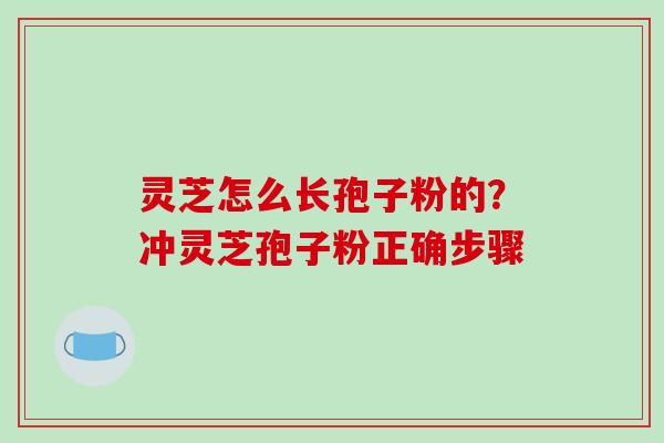 灵芝怎么长孢子粉的？冲灵芝孢子粉正确步骤