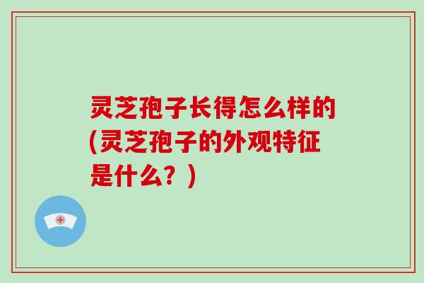 灵芝孢子长得怎么样的(灵芝孢子的外观特征是什么？)