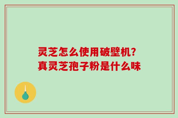灵芝怎么使用破壁机？真灵芝孢子粉是什么味