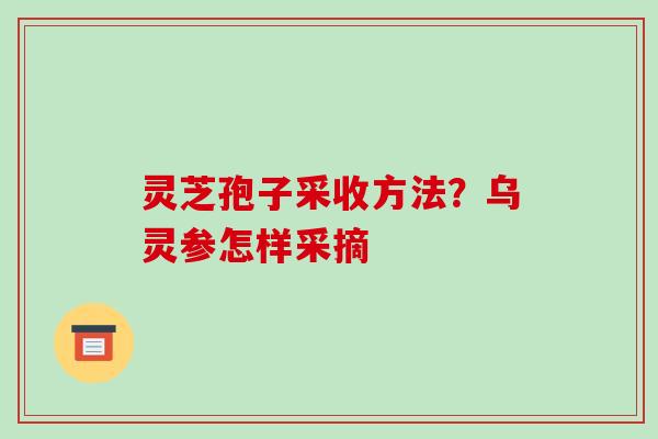 灵芝孢子采收方法？乌灵参怎样采摘