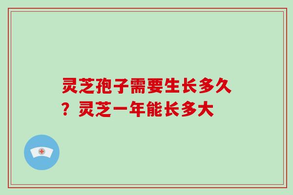 灵芝孢子需要生长多久？灵芝一年能长多大