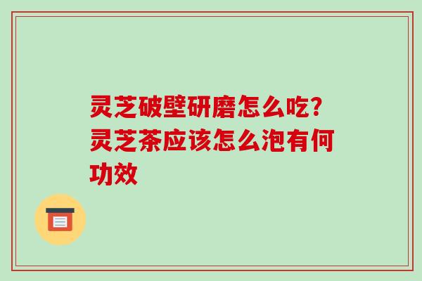 灵芝破壁研磨怎么吃？灵芝茶应该怎么泡有何功效