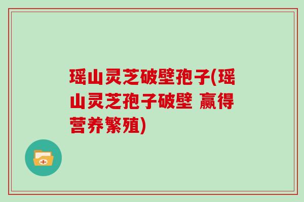 瑶山灵芝破壁孢子(瑶山灵芝孢子破壁 赢得营养繁殖)