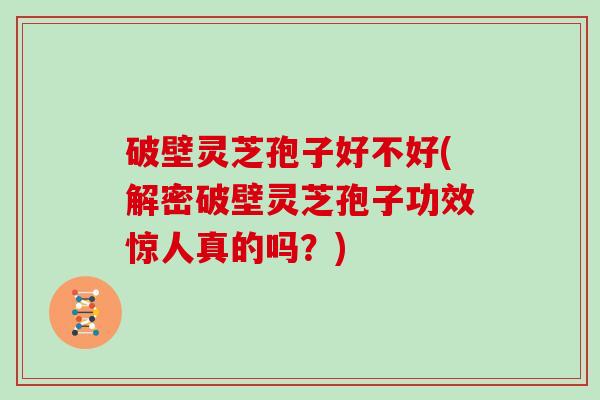 破壁灵芝孢子好不好(解密破壁灵芝孢子功效惊人真的吗?) 破壁灵芝孢子好不好(解密破壁灵芝孢子功效惊人真的吗?)