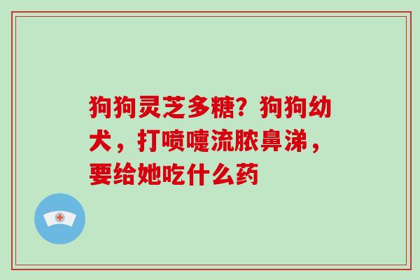 狗狗灵芝多糖？狗狗幼犬，打喷嚏流脓鼻涕，要给她吃什么药
