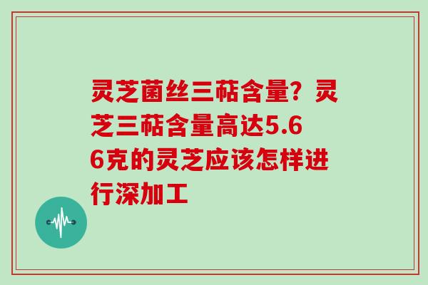 灵芝菌丝三萜含量？灵芝三萜含量高达5.66克的灵芝应该怎样进行深加工