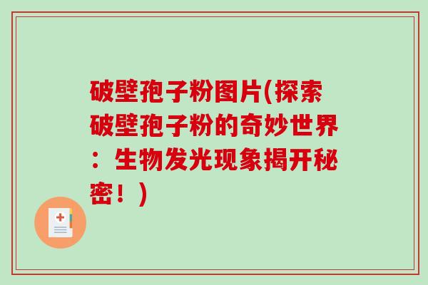 破壁孢子粉图片(探索破壁孢子粉的奇妙世界：生物发光现象揭开秘密！)