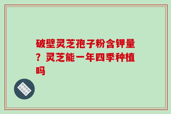 破壁灵芝孢子粉含钾量？灵芝能一年四季种植吗