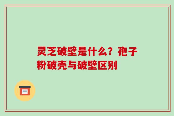 灵芝破壁是什么？孢子粉破壳与破壁区别