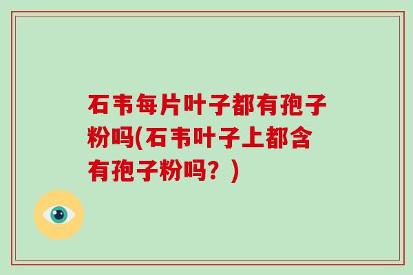 石韦每片叶子都有孢子粉吗(石韦叶子上都含有孢子粉吗？)