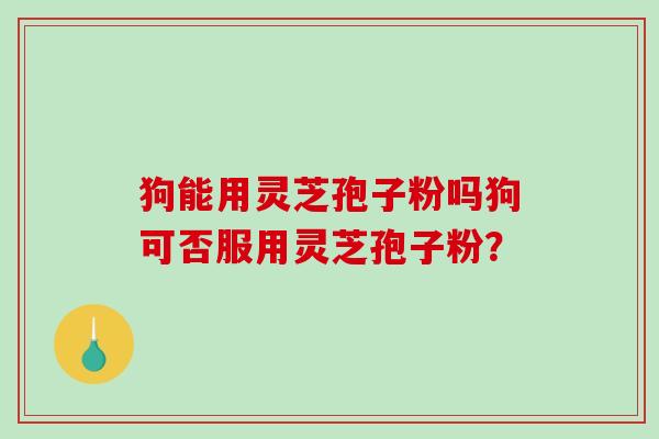 狗能用灵芝孢子粉吗狗可否服用灵芝孢子粉？