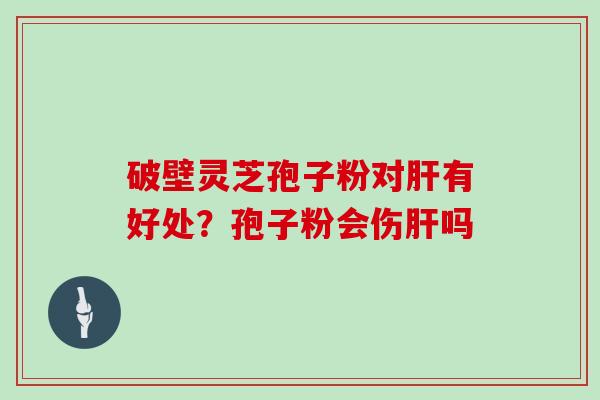 破壁灵芝孢子粉对有好处？孢子粉会伤吗