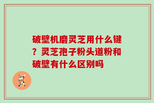 破壁机磨灵芝用什么键？灵芝孢子粉头道粉和破壁有什么区别吗