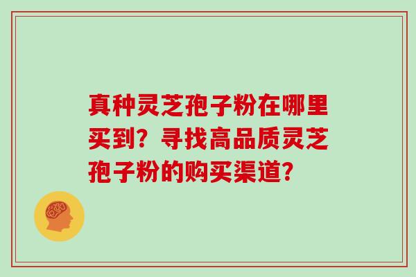 真种灵芝孢子粉在哪里买到？寻找高品质灵芝孢子粉的购买渠道？
