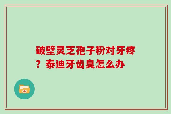 破壁灵芝孢子粉对牙疼？泰迪牙齿臭怎么办