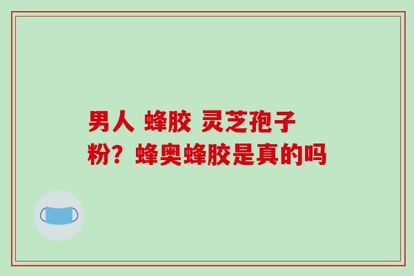 男人 蜂胶 灵芝孢子粉？蜂奥蜂胶是真的吗