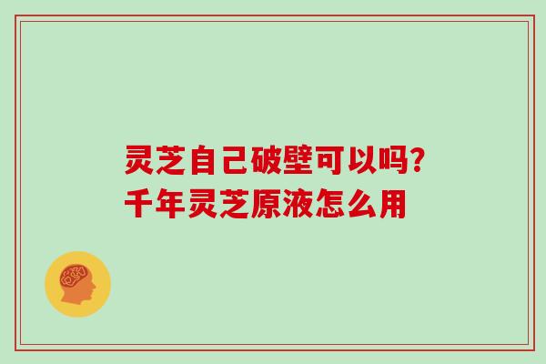 灵芝自己破壁可以吗？千年灵芝原液怎么用
