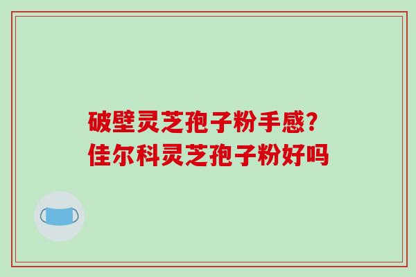 破壁灵芝孢子粉手感？佳尔科灵芝孢子粉好吗