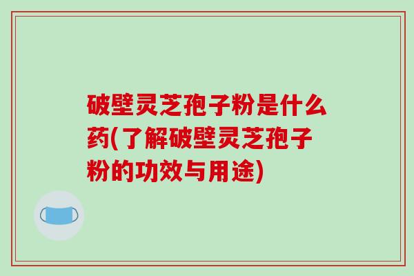 破壁灵芝孢子粉是什么药(了解破壁灵芝孢子粉的功效与用途)