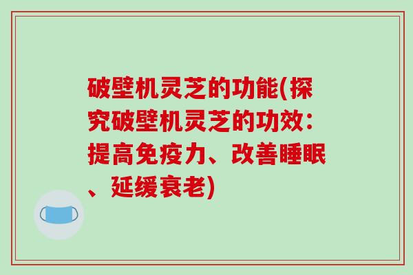 破壁机灵芝的功能(探究破壁机灵芝的功效：提高免疫力、改善、延缓)
