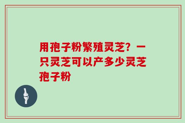 用孢子粉繁殖灵芝？一只灵芝可以产多少灵芝孢子粉