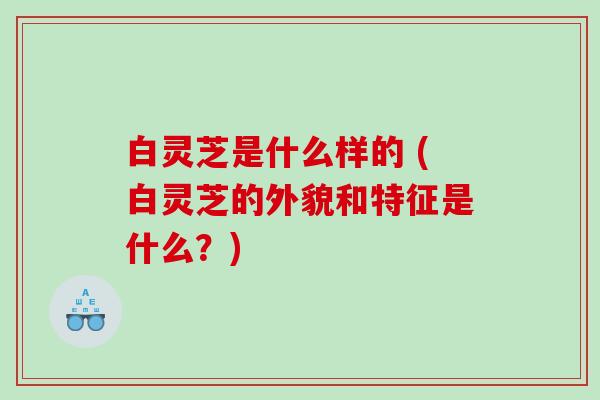 白灵芝是什么样的 (白灵芝的外貌和特征是什么？)