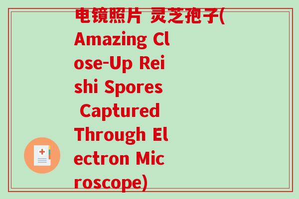 电镜照片 灵芝孢子(Amazing Close-Up Reishi Spores Captured Through Electron Microscope)