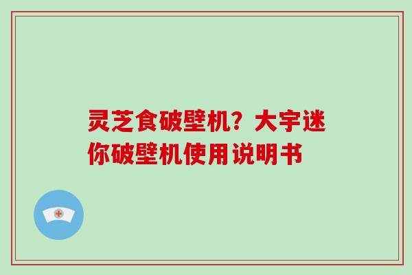 灵芝食破壁机？大宇迷你破壁机使用说明书