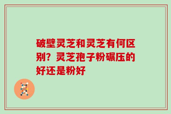 破壁灵芝和灵芝有何区别？灵芝孢子粉碾压的好还是粉好