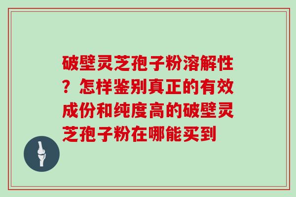 破壁灵芝孢子粉溶解性？怎样鉴别真正的有效成份和纯度高的破壁灵芝孢子粉在哪能买到