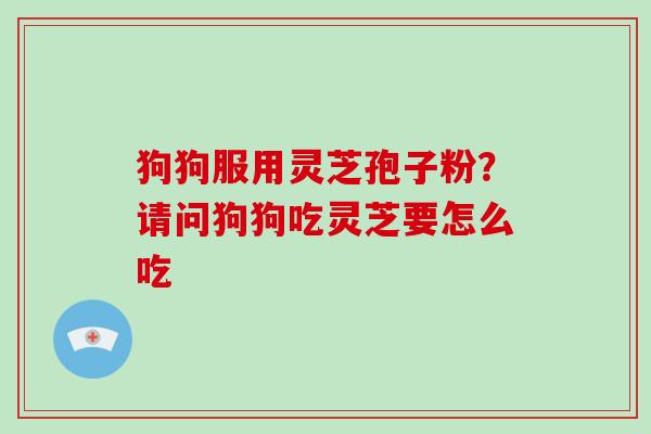 狗狗服用灵芝孢子粉？请问狗狗吃灵芝要怎么吃