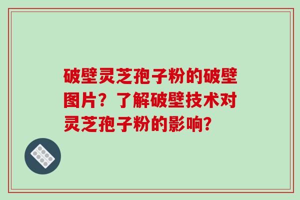 破壁灵芝孢子粉的破壁图片？了解破壁技术对灵芝孢子粉的影响？